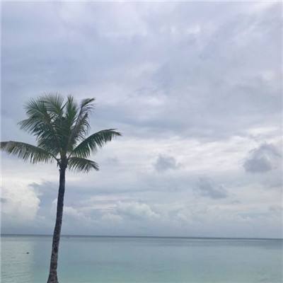皇家小狗之化妆舞会内购破解版下载
